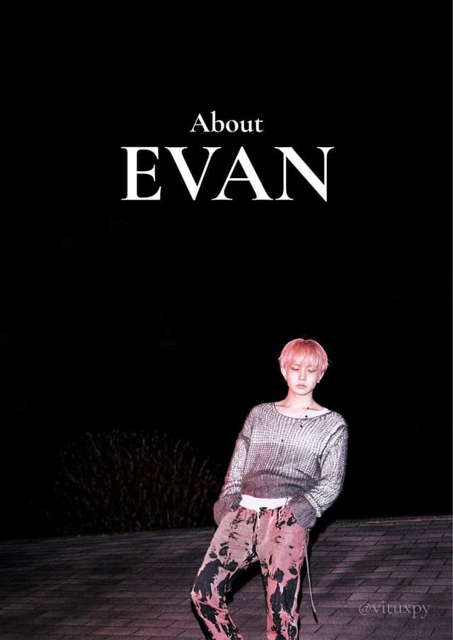 About EVAN poster
